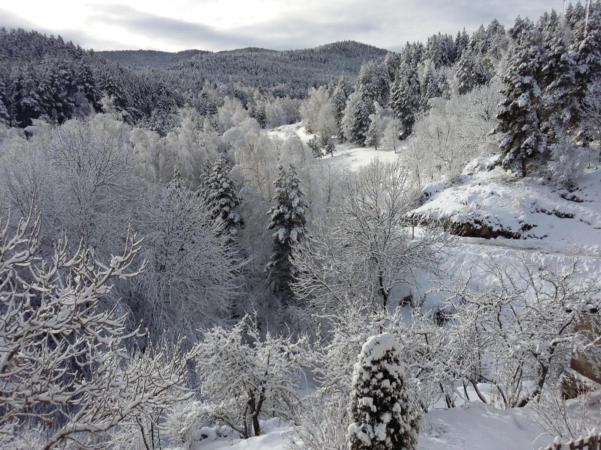 Le Mas Balmat Ayguatebia ภายนอก รูปภาพ